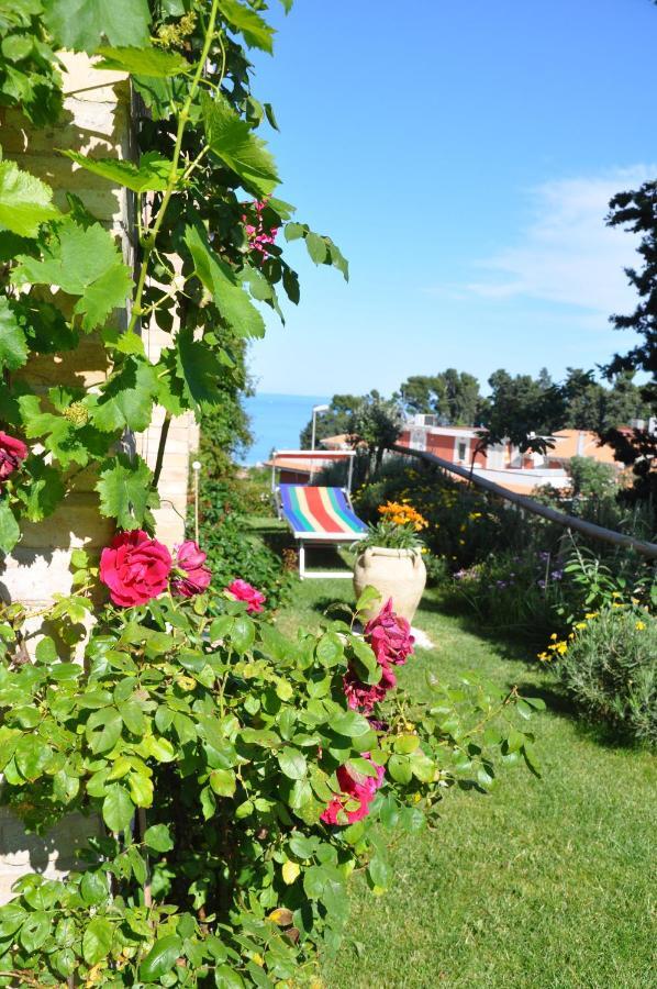 Bed And Breakfast Latteletto Tortoreto Εξωτερικό φωτογραφία